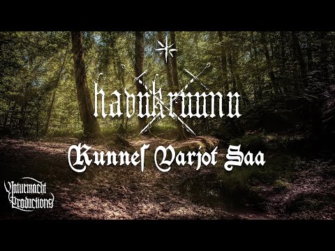 Havukruunu (Guitar Cover) - Kunnes Varjot Saa
