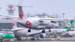 [4k] 台風19号による強風下での着陸!!! 福岡空港