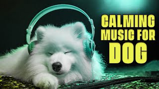 CALM YOUR DOG IN LESS THAN 20 MINUTES! #musicfordogs by Dog Powwow 25 views 1 month ago 17 minutes