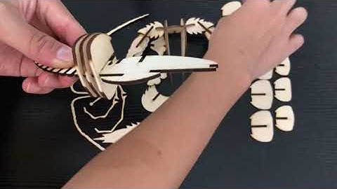 Makeblock laserbox case assembly-Lobster