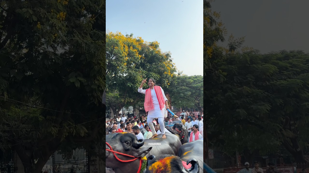 Sadar 2025 | Swapan Yadav dance | Sadar Sammela 2025 | Sadar festival 2025 