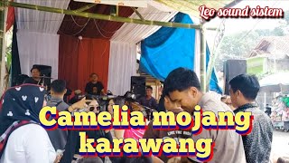 Camelia-mojang Karawang// Devi/Naya/Buer medley bajidor TRN MUSIC NEW live gadjah Depa cimalaka