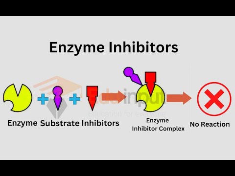 Irreversible Enzyme Inhibition ; Definition, Mechanism, Examples ...