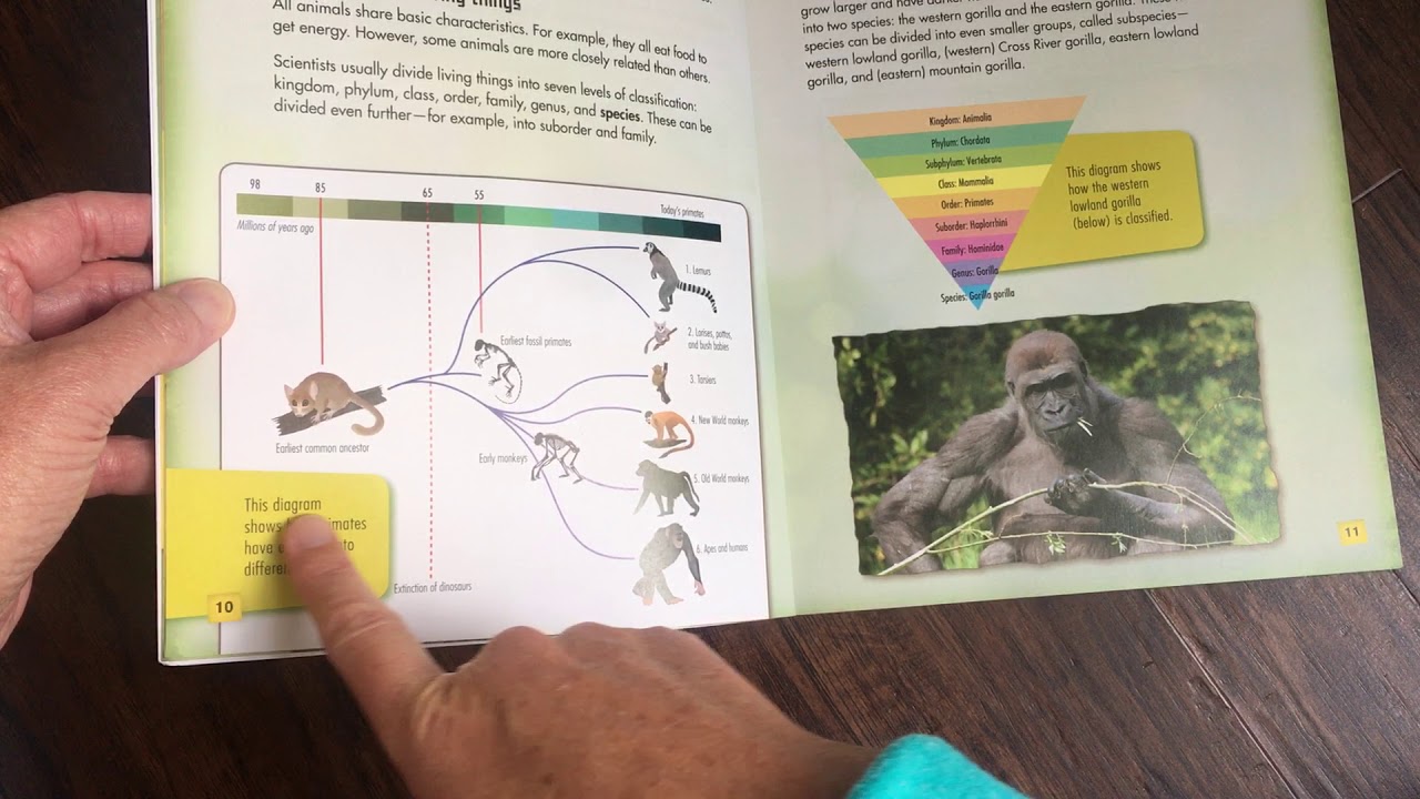 NF Mentor Text intro for Text Features