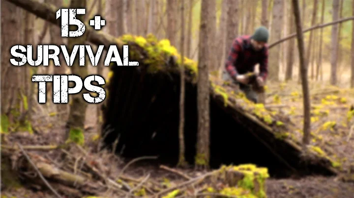 15 Wilderness Bushcraft Skills For Surviving 100 Days Alone in the Wild | Brought to you by History - DayDayNews