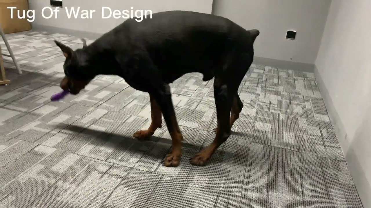 Incredible Natural Rubber Chewing Toy Fruit Non Toxic Dog Toys