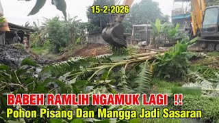 BABEH RAMLIH NGAMUK LAGI‼️Pohon Pisang, Mangga Kali Manseng Jadi Sasaran