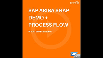 SAP Ariba SNAP Demo & Process Flow