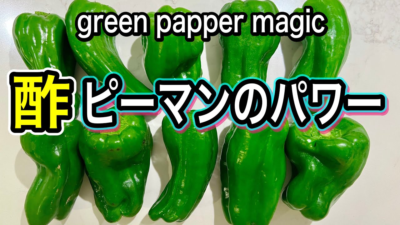 内臓脂肪を燃やす ピーマンの種もワタも丸ごと お酢で効果倍増 知られざる成分と効果的な調理法 Youtube