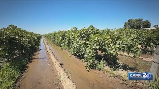 How will new 2026 laws impact the ag industry in the Central Valley?