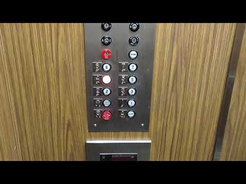 Elevator Vibe