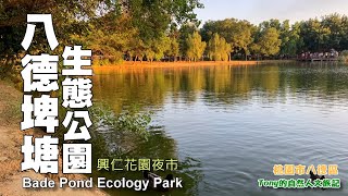 八德埤塘生態公園，八德興仁花園夜市（Bade Pond Ecology ...