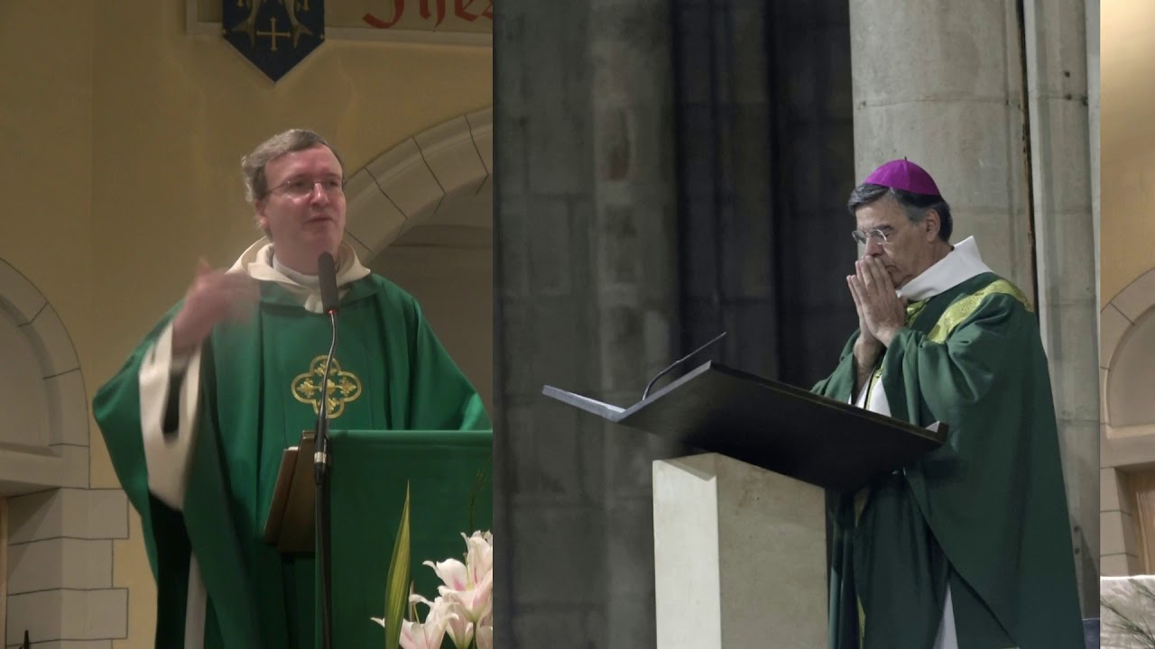 Homélie du 3e dimanche du Temps Ordinaire C par le f. Thibaut du Pontavice : Prêcher