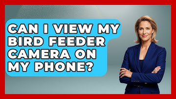 Can I View My Bird Feeder Camera On My Phone? - Bird Watching Diaries