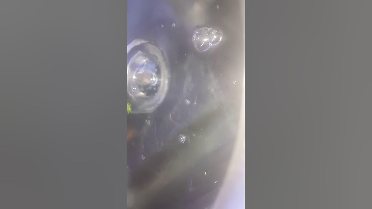 Bleach to water ratio for cleaning greens at home. First google