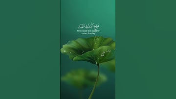 (قل اللهم مالك الملك ) بصوت الشيخ #سعد_الغامدي#سورة_آل_عمران
