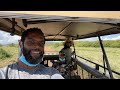 Kenya Maasai Mara Game Reserve with cheetah kill &  amazing wild life!