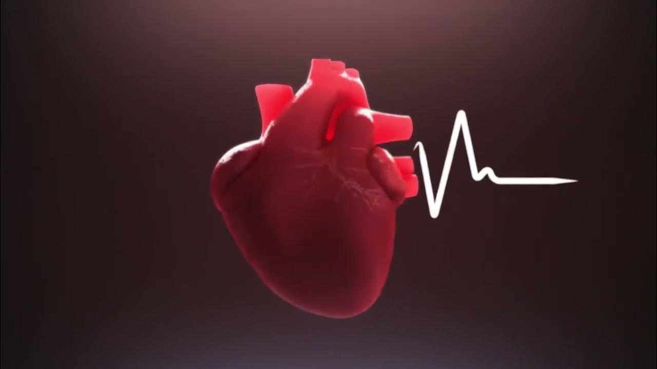 heart rate monitor download now YouTube