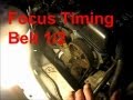 Ford Focus Timing Belt, Tensioner, Accessory Belt, and Water Pump Part 1/2