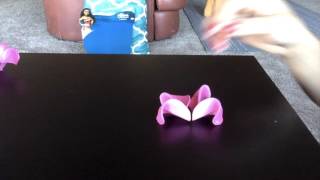 Blake Makes Diy Plumeria Flowers