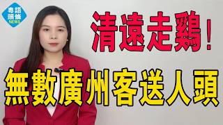 慘過鶴崗！從3萬跌到1千！清遠樓市崩盤，無數廣州客送人頭！90方三房20萬有找，業主求人接貨請食飯！曾經吹噓廣清同城，今日通勤3小時、樓價歸零！#房地產 #大灣區樓盤 #港人北上 #清遠樓盤 #投資
