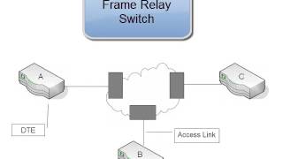 Celebrity 6. Frame Relay Components Wealth