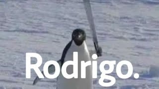 Shitposting Compilation V98