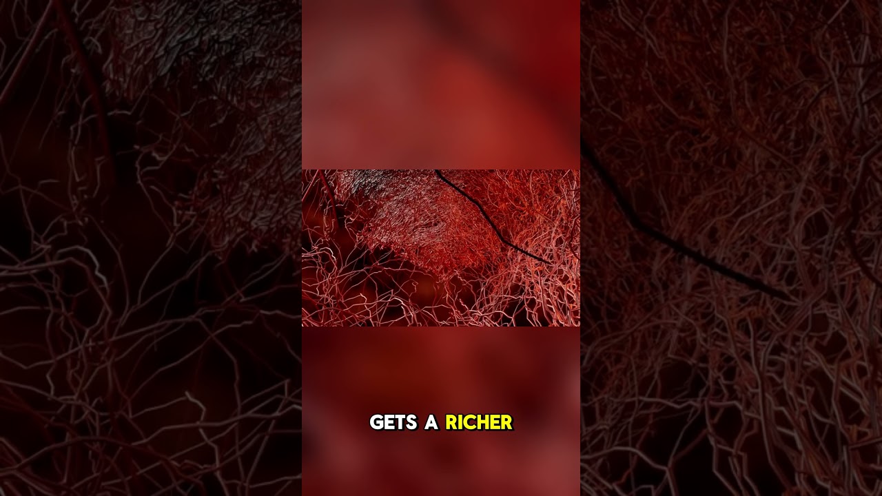 Turmeric for Brain Health  Boost Memory, Focus & Blood Flow Naturally