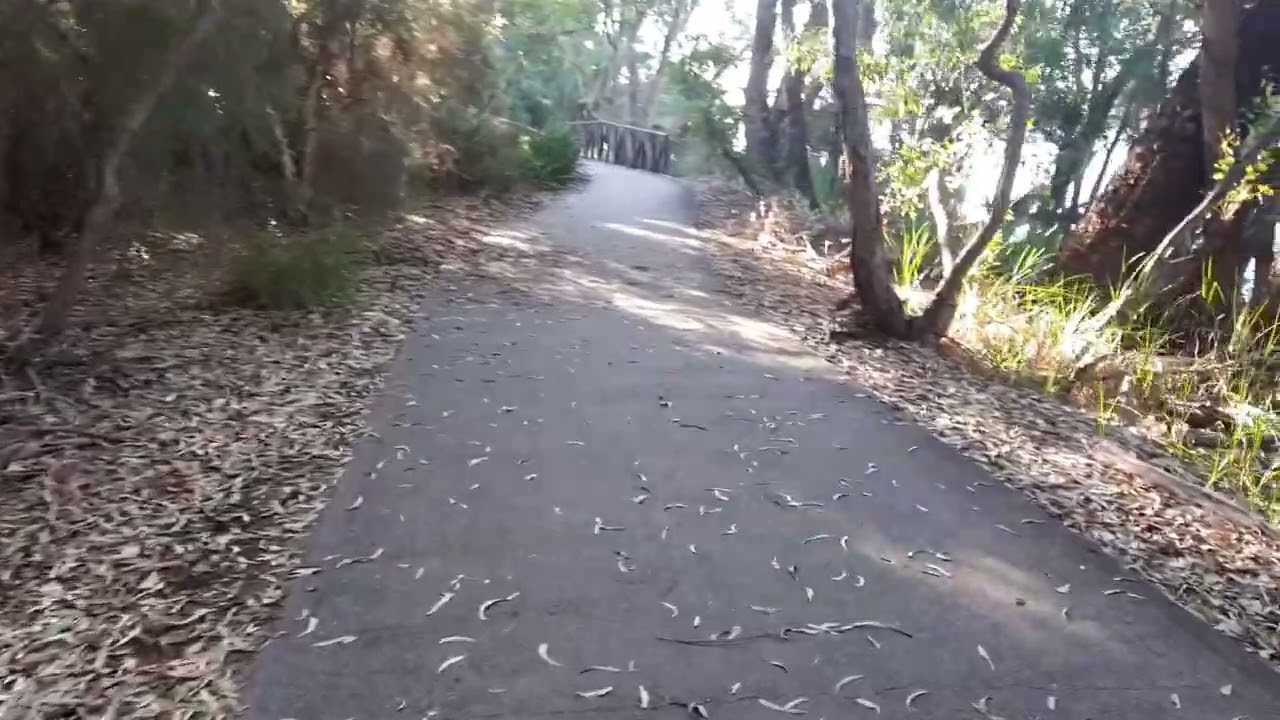 A Stroll along Swan River December 2017