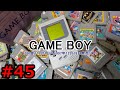 ゲームボーイソフト大全 #45