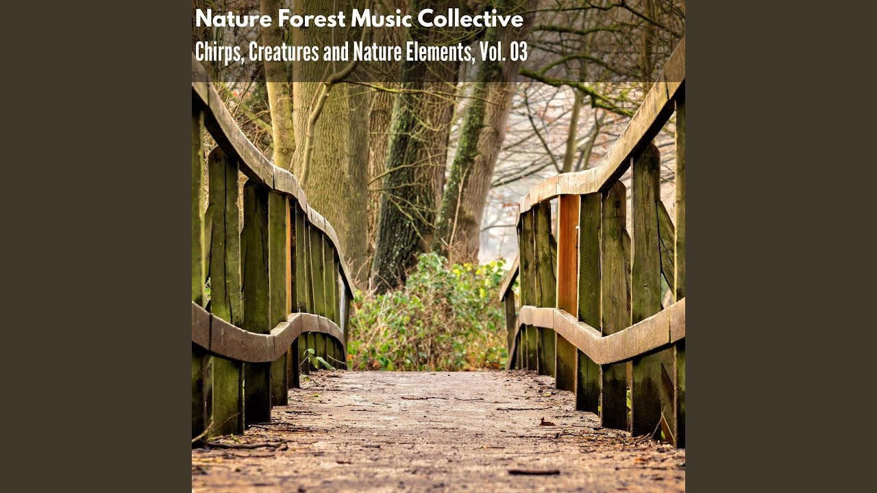 Sparse Small Birds Plurals