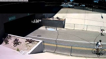 BriefCam Video Synopsis