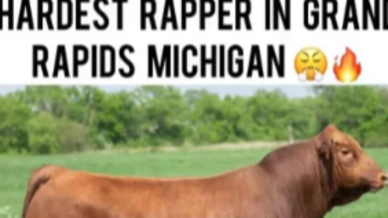 [TEST NO MIC] IIDX CS