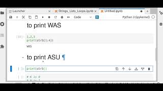 Basics of Python for Scientific Computing Lecture 2: String List Loop