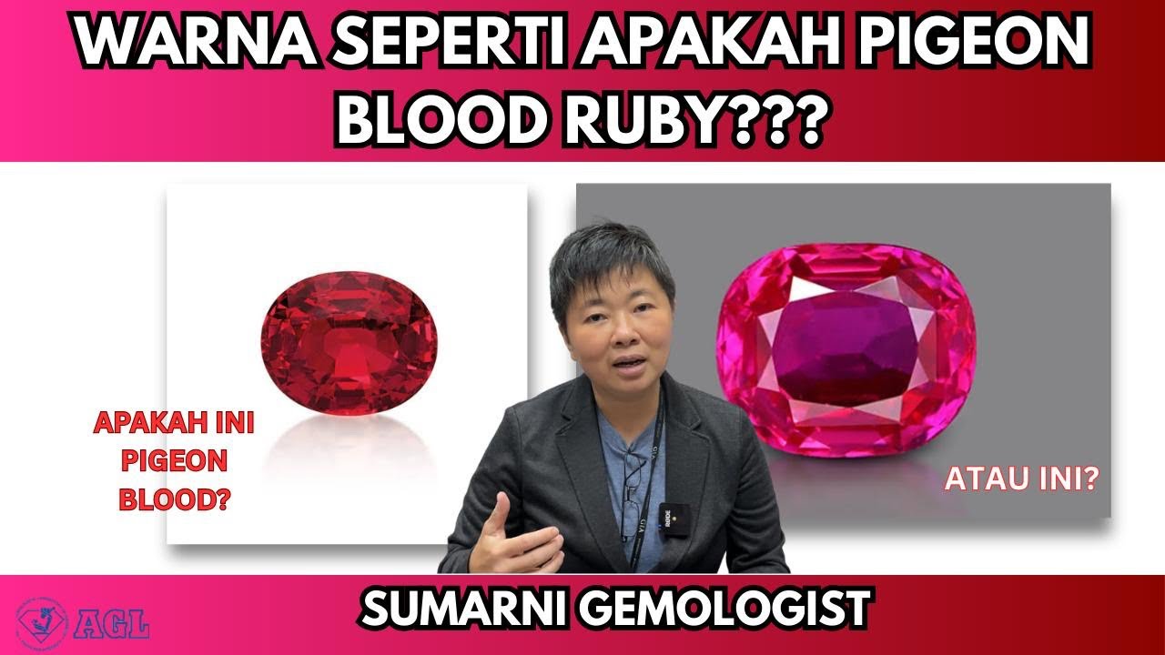 MENGENAL KATEGORI WARNA RUBY PIGEON BLOOD