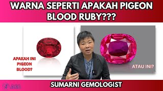 Mengenal Kategori Warna Ruby Pigeon Blood