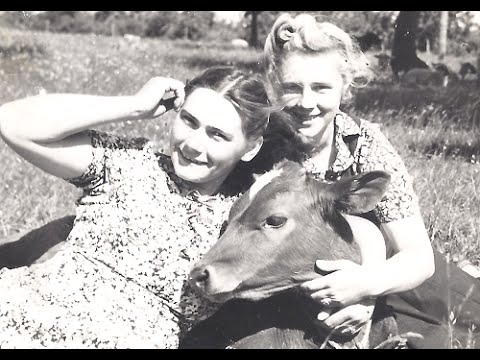 kelly robinson volleyball Past Life Regression Therapy - Shaw TV Nanaimo