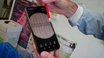 Calibrating a Microscope Graticule