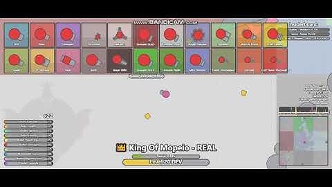 FINAL ARRASCRAFT PREVIEW // CHECK IT OUT!