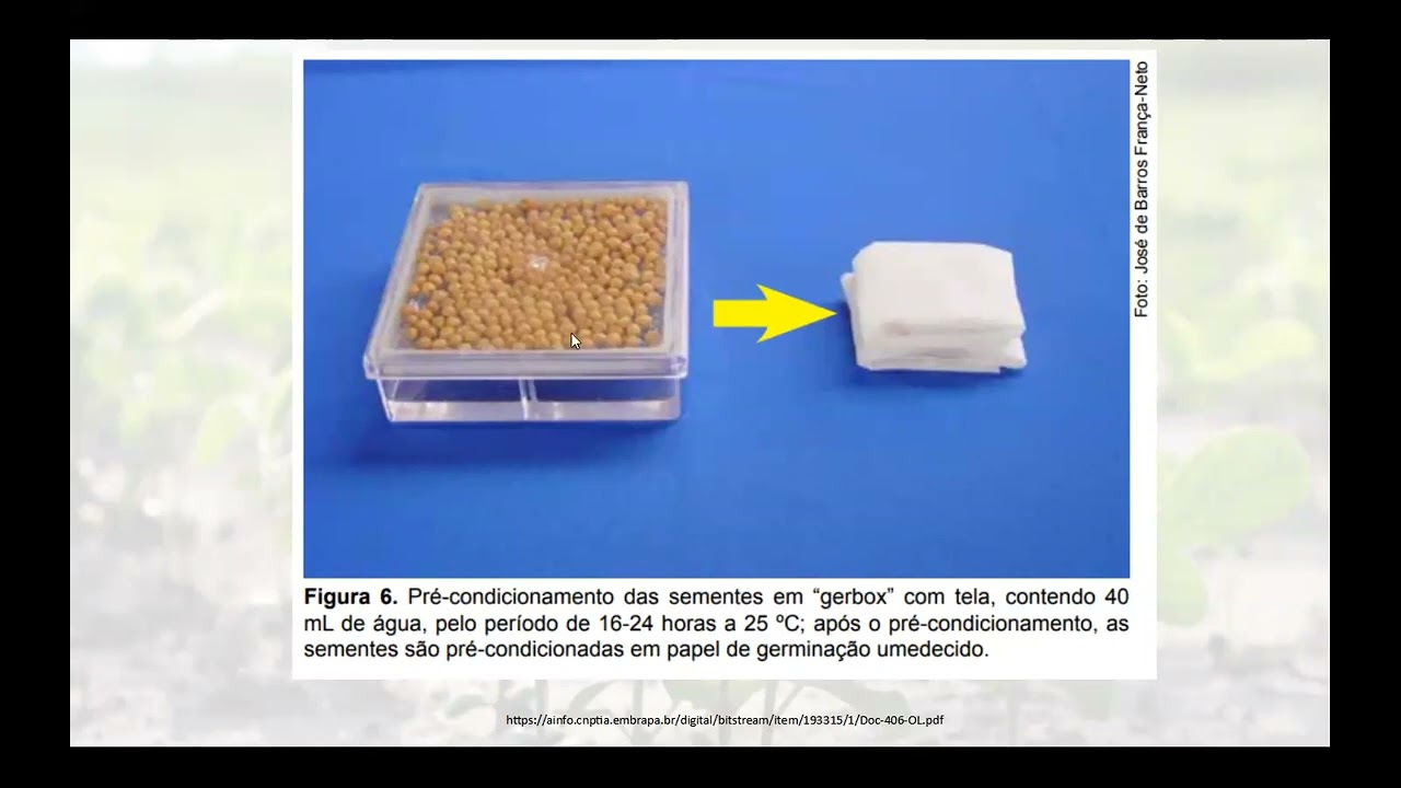 VIDEO AULA PRÁTICA 05 TETRAZOLIO