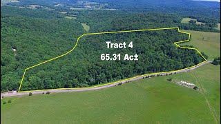 Aerial Tour of 65.31 Ac± Online at Tays Realty & Auction, LLC