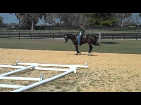 Riding Horses at Barbara Gerken's 02 23 11