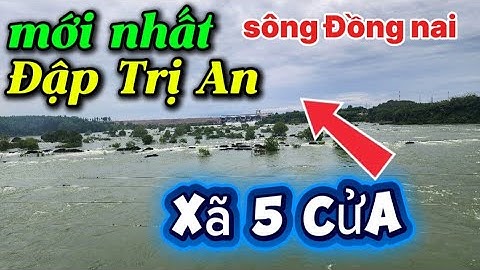 mới nhất Thủy Điện Trị An sông Đồng nai Tăng cường xã lũ 5 cửa