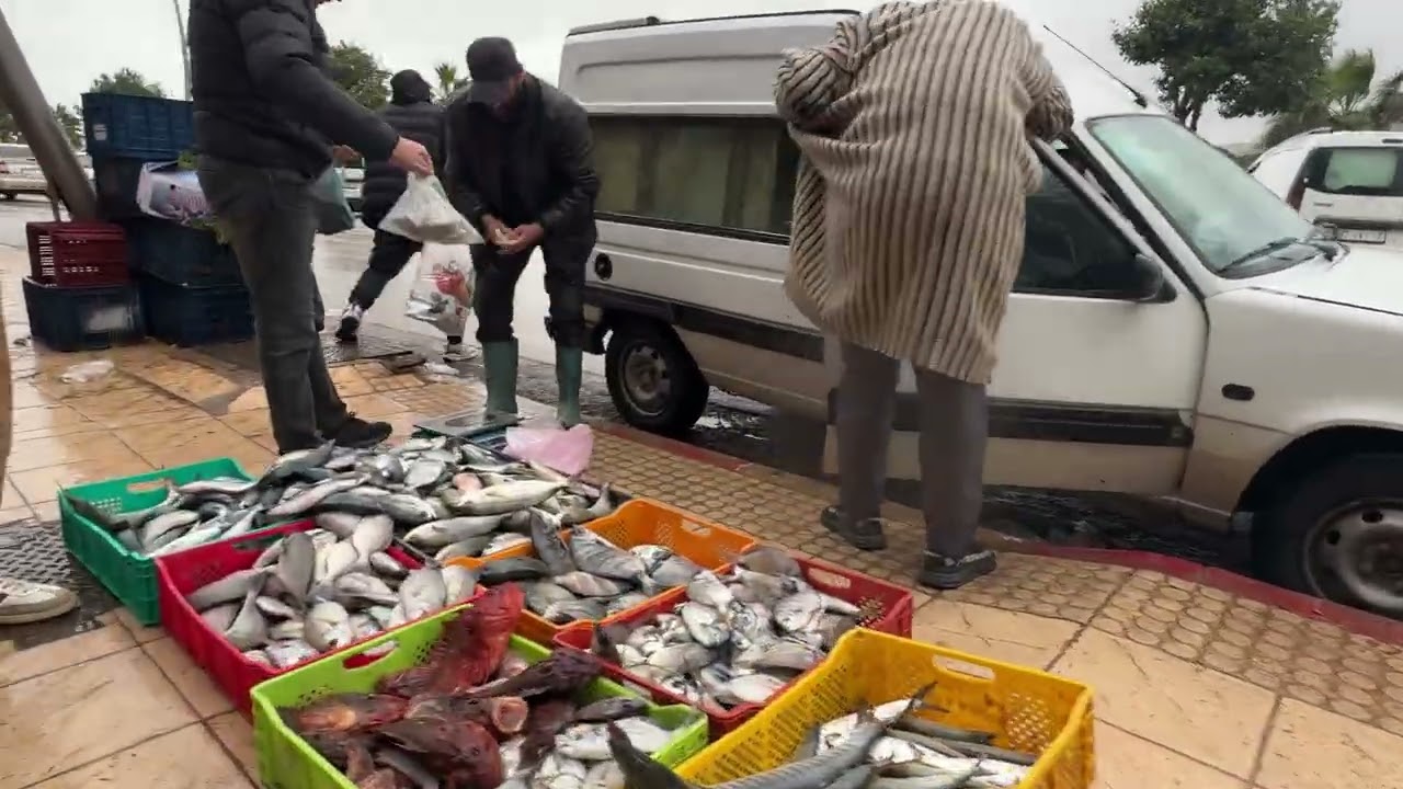 ‏‫الحوت في القصر الصغير ثمان غير عادي وأجواء ممطرة رائعة