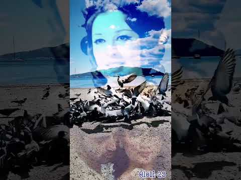 على طرف جناحك ياحمامي نجاة الصغيرة