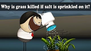 Osmosis - Why is grass killed if salt is sprinkled on it? | #aumsum #kids #science