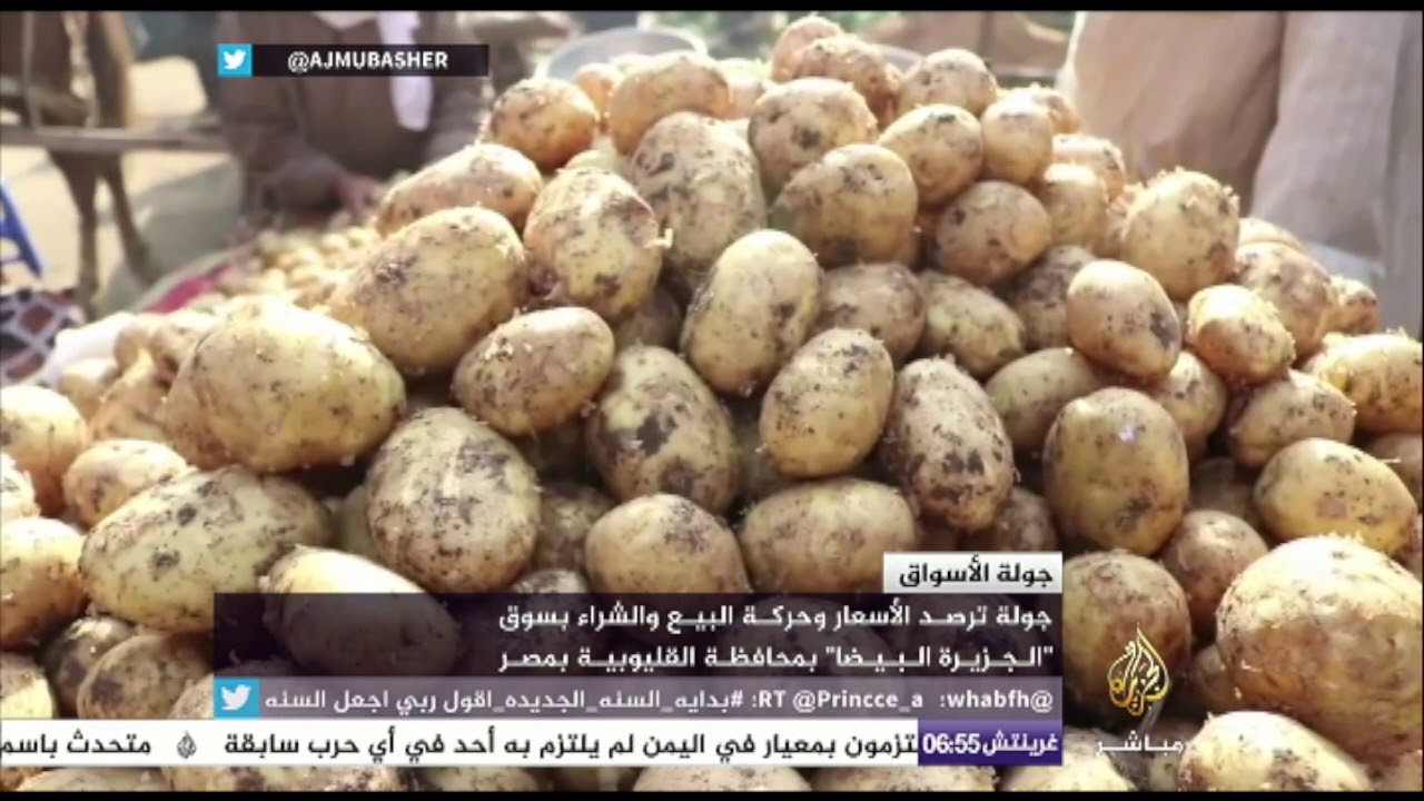 الأسعار وحركة البيع والشراء بسوق “الجزيرة البيضا” بمحافظة القليوبية في مصر