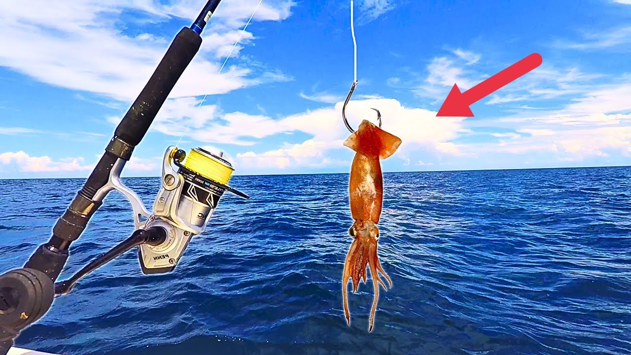 Fishing with SQUID 20 Miles OUT for My Dinner! [Catch Clean Cook]