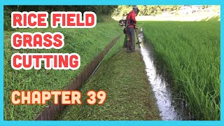 【 Rice Field 】 Grass Cutting KAAZ (JAPAN)URP260AL-TB26 25cc Chapter39 Relaxing 【 Rice Field 】 Grass Cutting KAAZ (JAPAN)URP260AL-TB26 25cc Chapter39 Relaxing