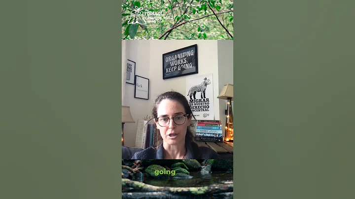 Protecting Your Cyber Security at Protests | the roots of change agency